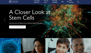 A Closer Look at Stem Cells, ISSCR