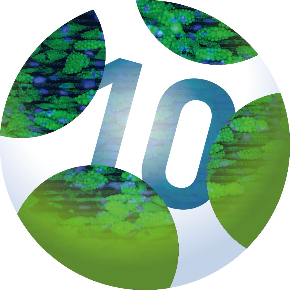 Logo_10th_Int_Meeting