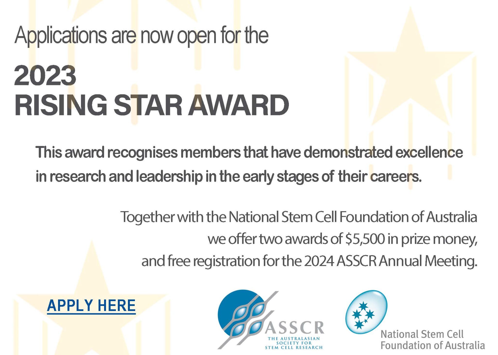 Apply for our Rising Star Awards 2023